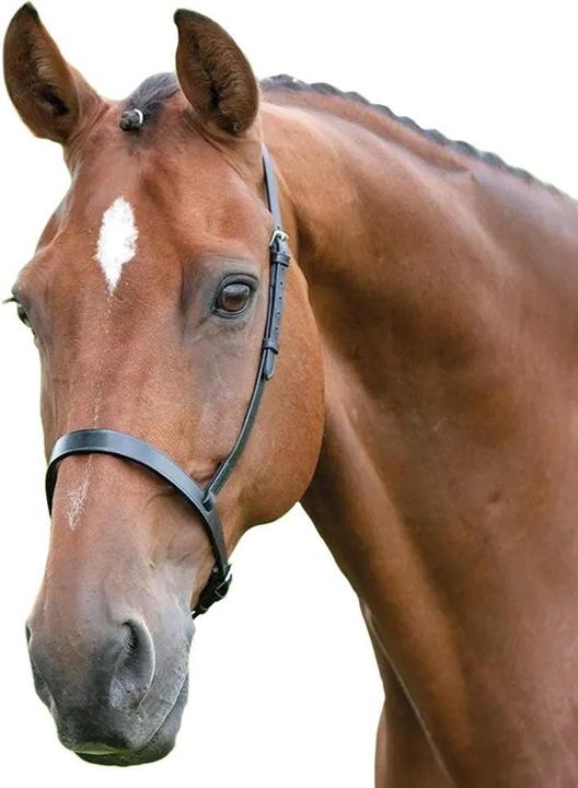 Immagine prodotto Universal Textiles Briglia in pelle