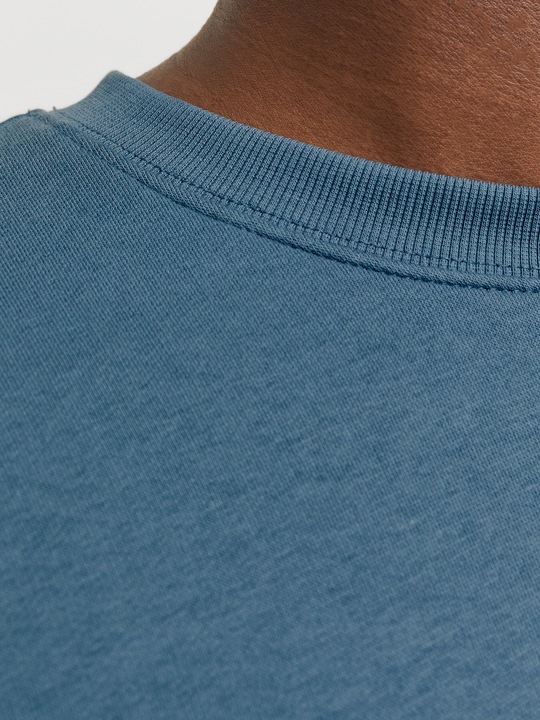 Actual product image Jack & Jones Jjestar Basic Sweat Crew Neck Noos (S)