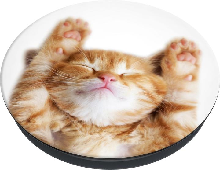Productafbeelding PopSockets PopGrip Basic Snoozy Cat