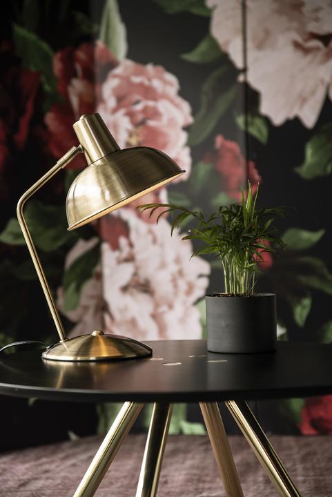 Image du produit Leitmotiv Capuche (E14)