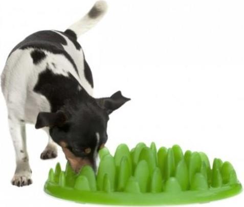 Actual product image Northmate GREEN Slow Eater, green - (9510105)