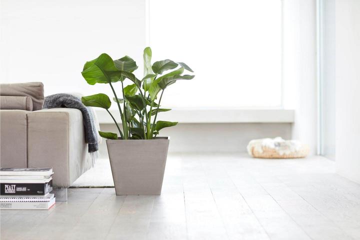 Produktbild Ecopots Rotterdam (40.10 x 40.10 x 35.50 cm)