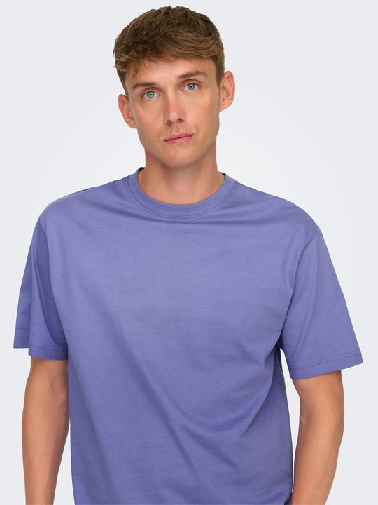 Image du produit Only & Sons Onsfred Life Rlx Ss Tee Noos (XS)