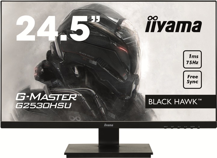 iiyama G2530HSU-B1 (1920 x 1080 pixels, 24.50")