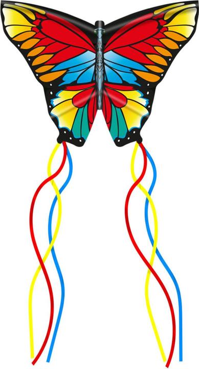 Actual product image Eolo 3D dragon butterfly