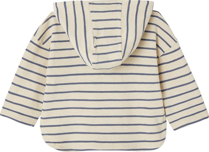 Produktbild Vertbaudet Jungen Baby Kapuzenshirt (74)