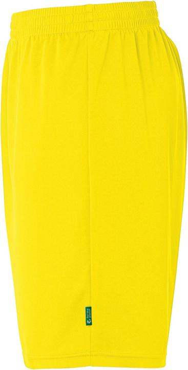 Produktbild Kempa Shorts Team (L)