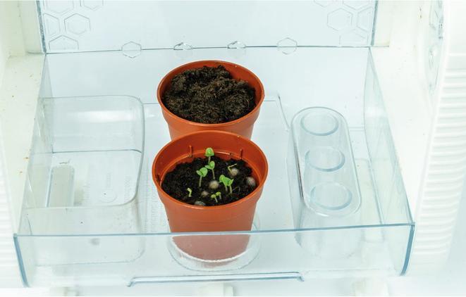 Produktbild Clementoni Hith Tech Gewächshaus