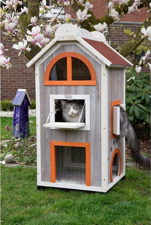 Actual product image Dobar Fancy Cat (Cat)