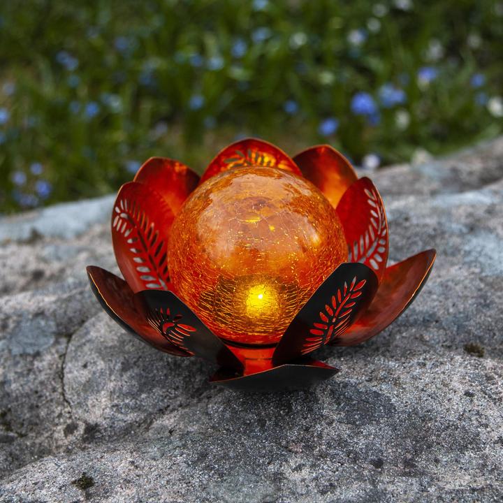 Image du produit Star Trading Solar Decoration Lilly (IP44)