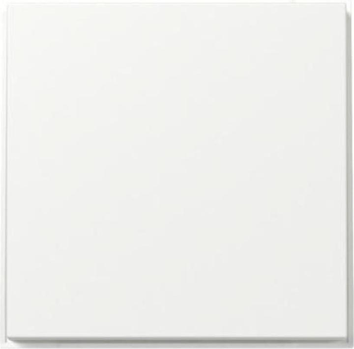 Produktbild Gira Wippe gerade