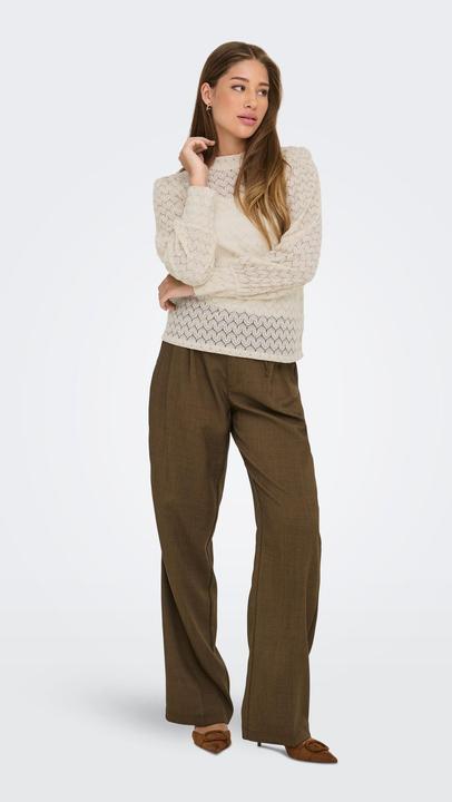 Immagine prodotto JdY Top in pizzo con maniche lunghe (XS)
