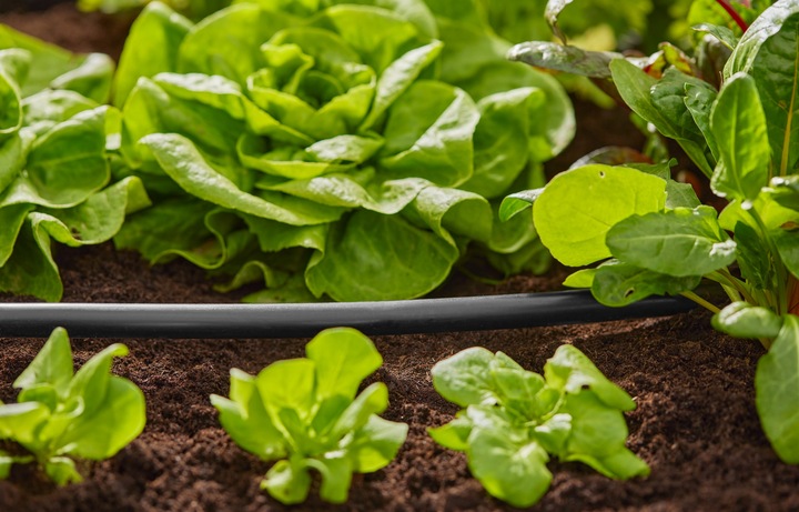 Image du produit Gardena Pose d'un tuyau de (1/2"x 15m) (Tuyau d'égouttage + tube d'égouttage)