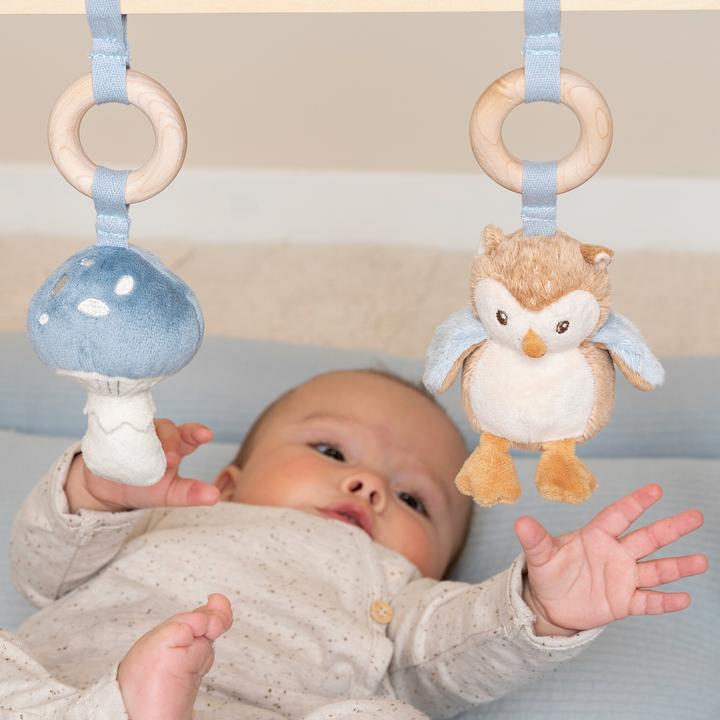 Produktbild Little Dutch Babygym Forest Friends