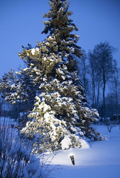 Actual product image Star Trading Spotlight (E27, 1300 lm, 1 x)