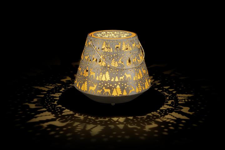 Actual product image STT Nova winter