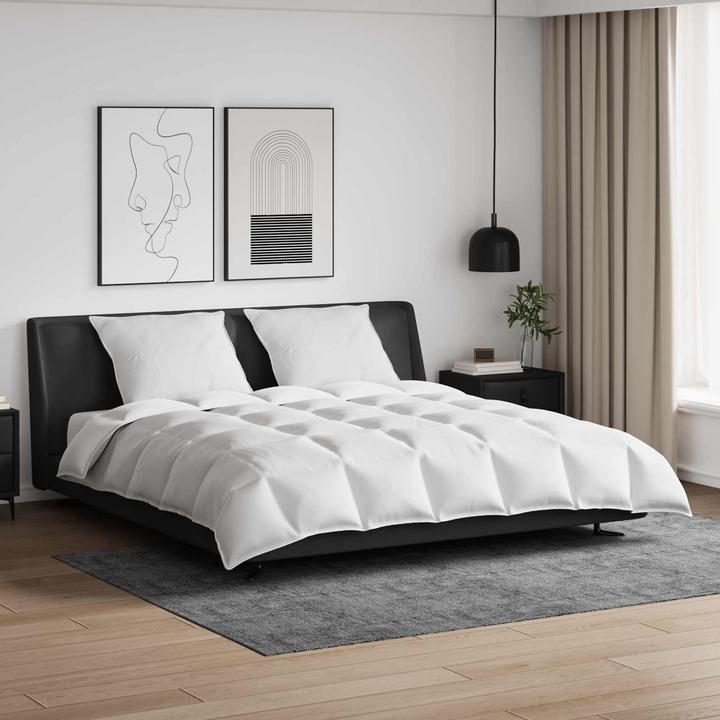 Immagine prodotto vidaXL Schlafzimmer Textilien (Piuma, 240 x 200 cm)