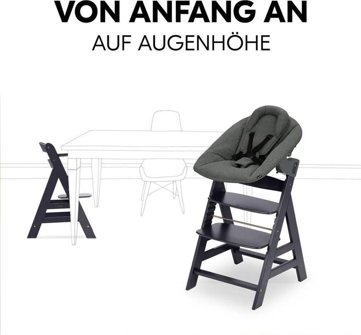 Produktbild Hauck Hochstühle Alpha Plus Dark Grey Newborn Set - Hochstuhl (Treppenhochstuhl)