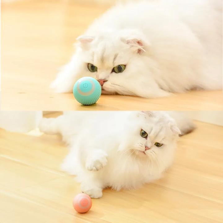 Produktbild Esmée Rollender Spielball 2er Set USB Katzen Spielzeug