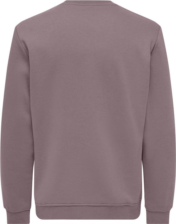 Produktbild Only & Sons Onsconnor Life Reg Crew Neck Sweat Noos (S)