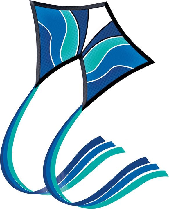 Actual product image Günther Flugspiele Blue Wave single line kite