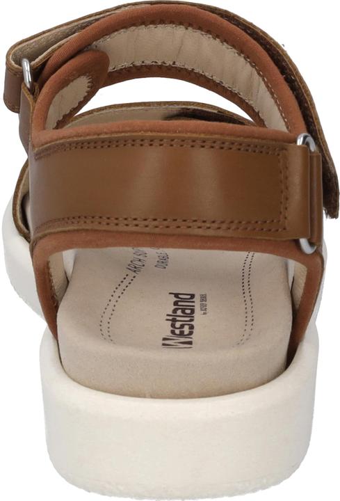 Image du produit Westland 25401-410 (39)