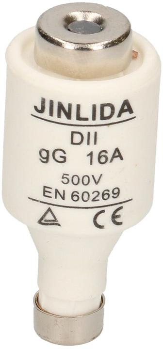 Max Hauri Fuse DT (16 A)