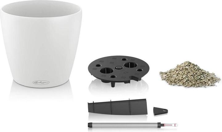 Actual product image Lechuza Classico Color