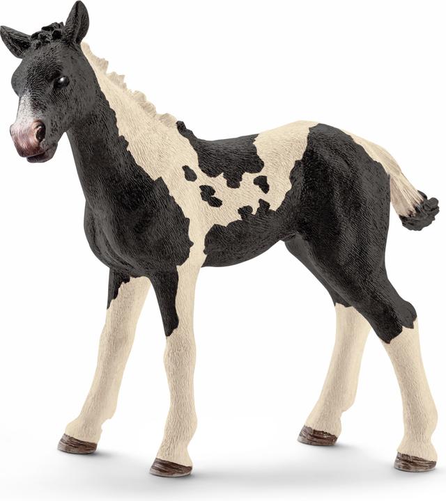 Produktbild Schleich Pinto Fohlen