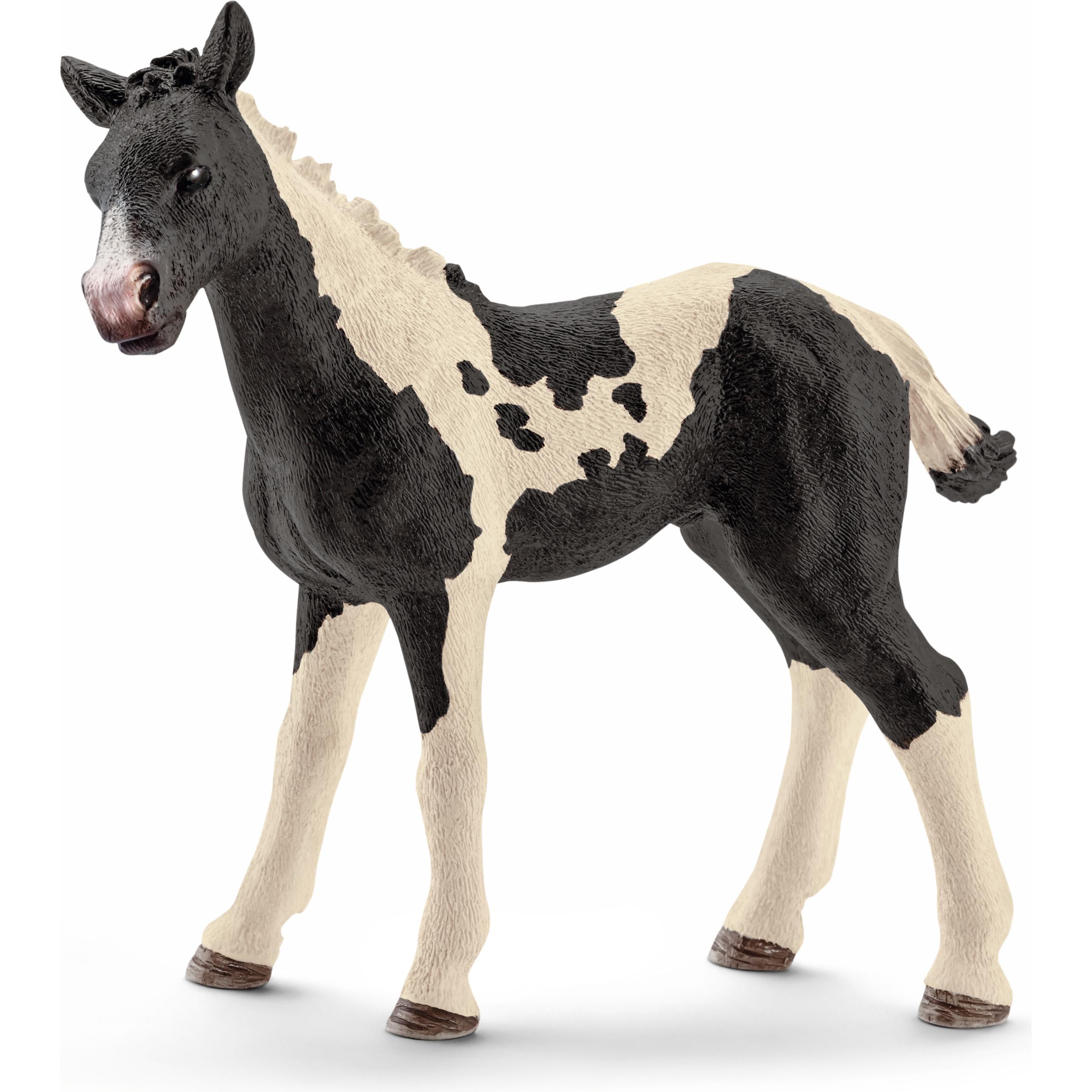 Schleich Pinto Fohlen