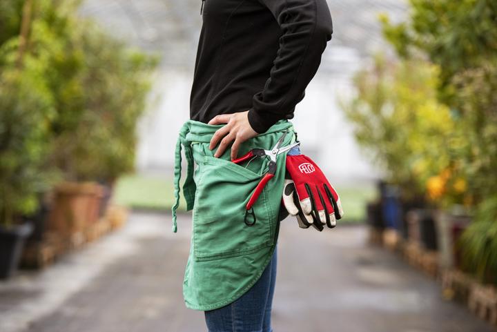 Immagine prodotto Felco 321 Cesoie per la raccolta e la lettura