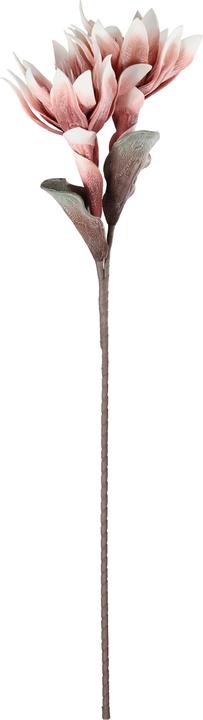 Produktbild EGLO LIVING Molave (28 cm)