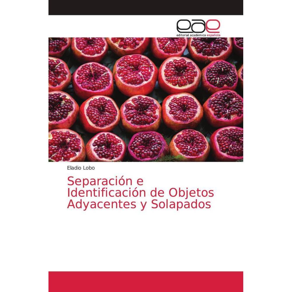 Separación e Identificación de Objetos Adyacentes y Solapados, Fachbücher von Eladio Lobo