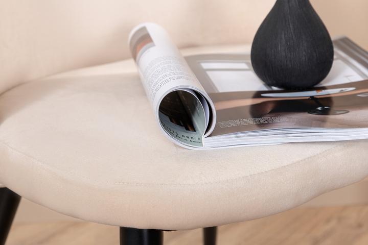 Produktbild Venture Home Esszimmerstuhl Velvet