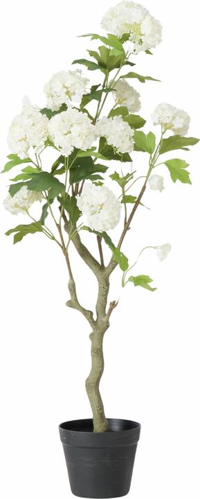 Produktbild Boltze Home Topfpflanze (90 cm)