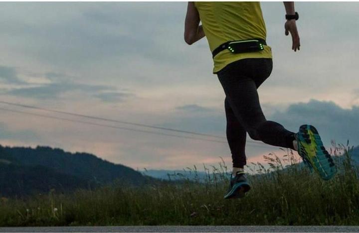 Immagine prodotto Wheel Bee Corridore notturno