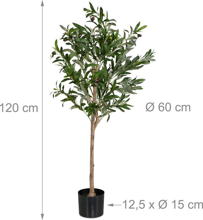 Actual product image Relaxdays Olivenbaum (120 cm)