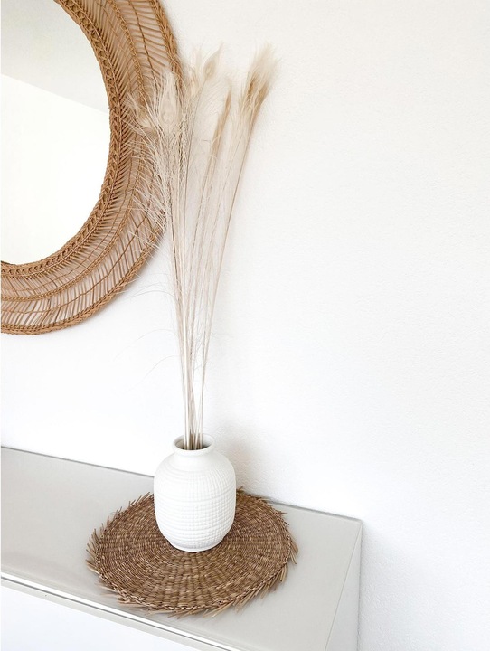 Immagine prodotto Soli Collection Fiori secchi Piume di pavone 90 cm, Bianco (Fiori secchi)