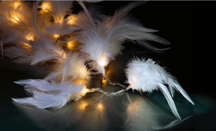 Image du produit STT Plumage (2 m)