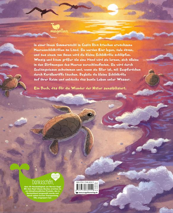 Produktbild Die kleine Schildkröte - Zu Hause im Meer (Deutsch, Christine Faust, Kristina Scharmacher-Schreiber, 2025)