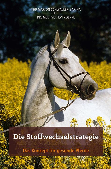 Immagine prodotto Die Stoffwechselstrategie (Tedesco, Evi Dr Med. Vet. Koeppl, Marion Schwaller-Barina, 2015)
