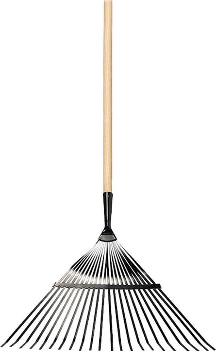 Actual product image Zeintra Leaf broom