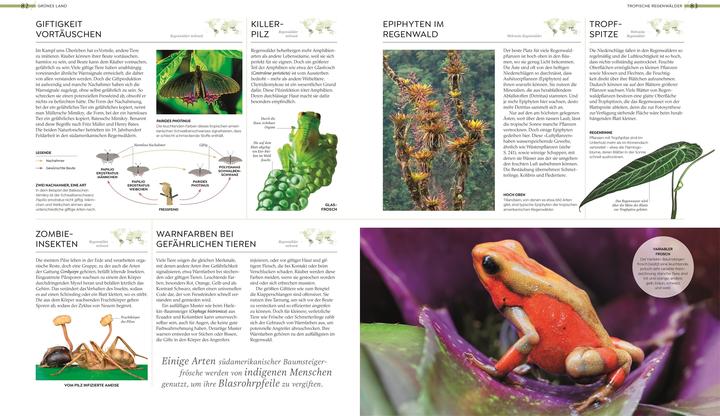 Actual product image Asher:Wilde Welten (German, Tom Jackson, Dr Claire Asher, Dr Julia Schröder, Derek Harvey., Michael Kokoscha, Claudia Franca de Abreu, Dr Rebecca Green, DK Publishing House, 2025)