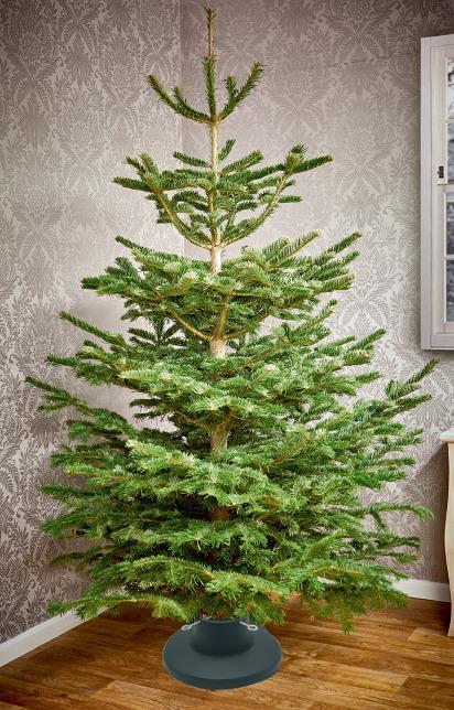 Image du produit Christmas To Christmas tree stand Christmas Touch 5110, 38.5 cm