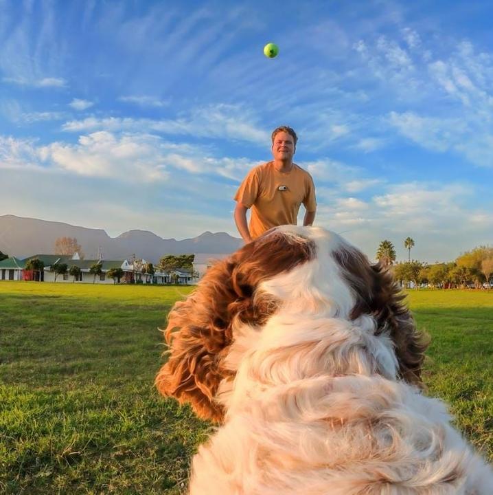 Image du produit Insta360 Harnais pour animaux de compagnie Mount S (Insta360 Go 3, Insta360 GO 3S)