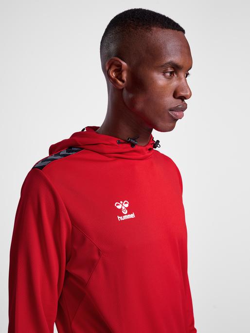 Actual product image hummel Hmlauthentic Pl Hoodie (XL)