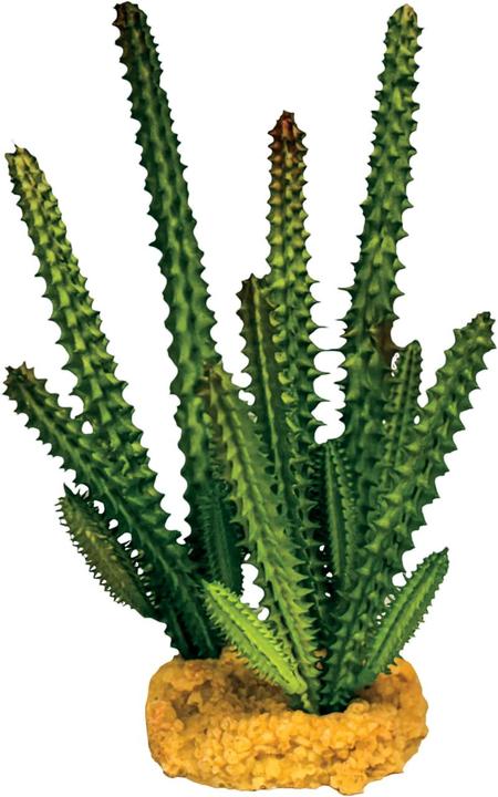 Repto Plant Plant Cactus Needle Green
