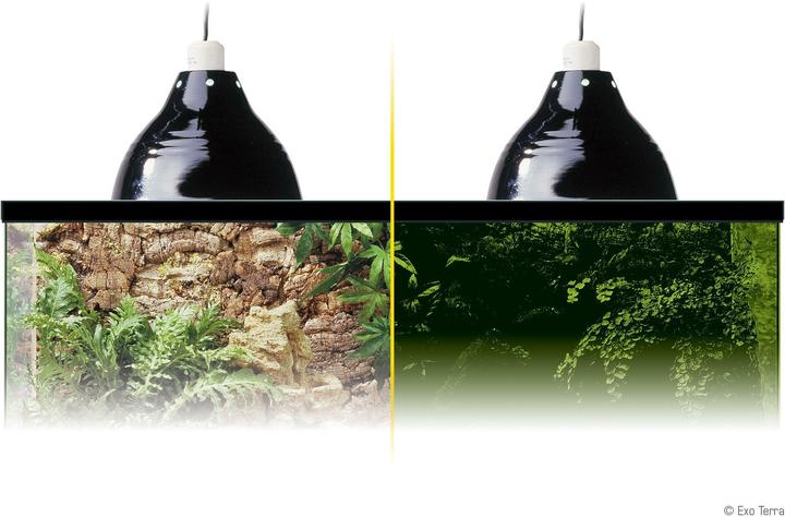 Image du produit Exo Terra Lampe à pince Glow Light (UVB)