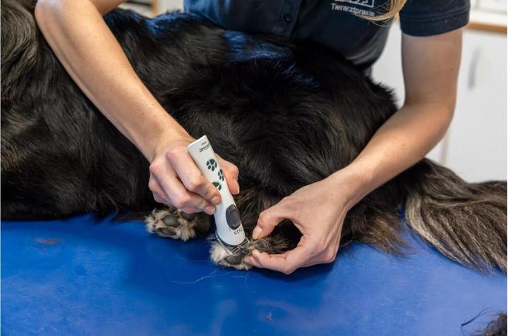 Actual product image Aesculap Isis (Dog)