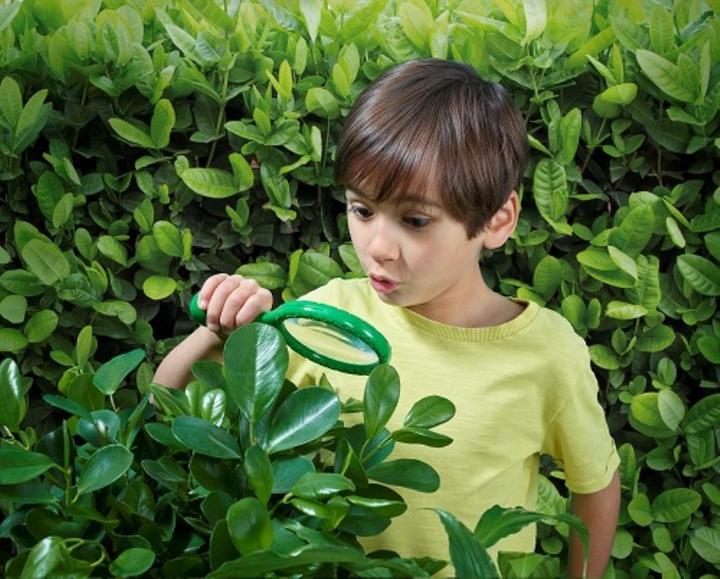 Produktbild Brainstorm Outdoor Adventure- Magnifier